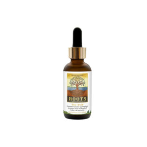 Adored Beast The Wolf